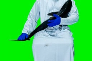 Kelvin Haizel Image