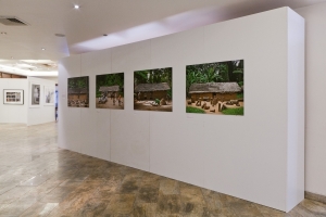 Curator’s Walkthrough Image